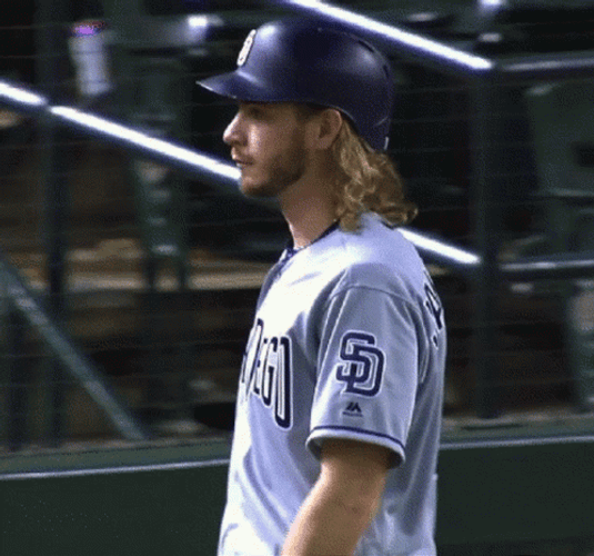 There's No Crying In Baseball Don't Walk Out GIF
