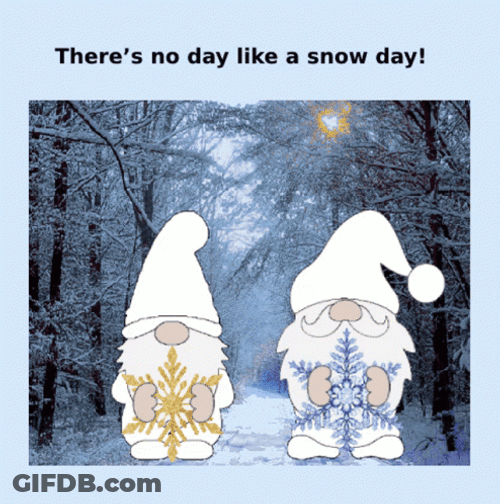 There's No Other Day Like Snowy Saturday GIF