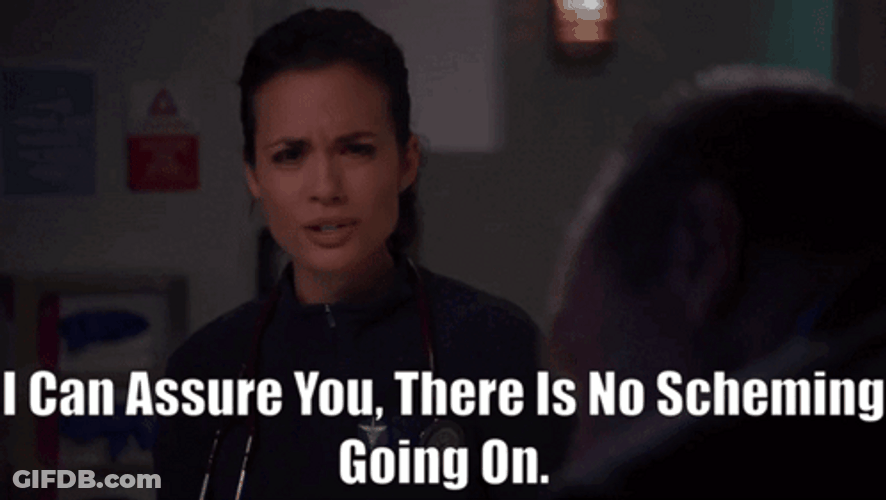 There's No Scheming Going On GIF
