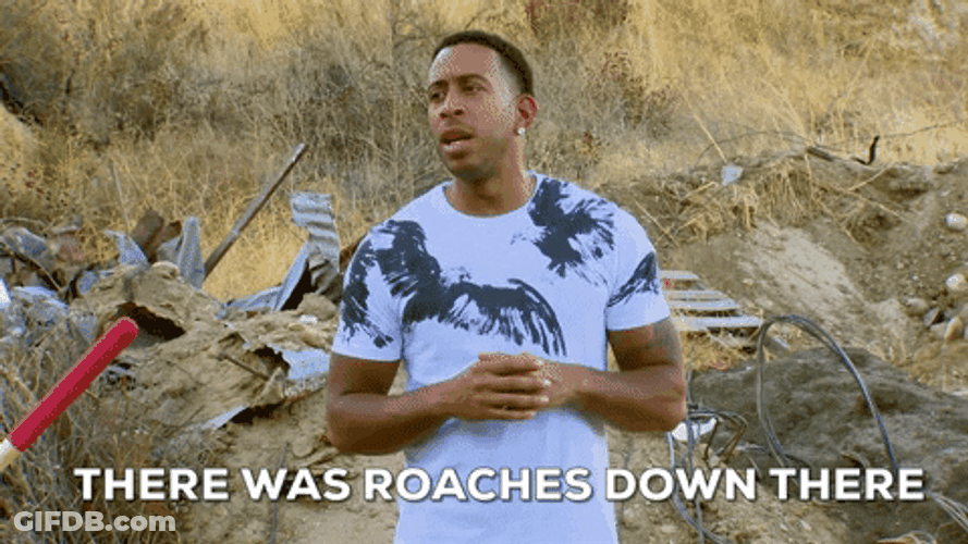 There's Roaches Down There GIF