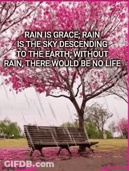 There Would Be No Life Without Rain , There Would Be No Life Without Rain , There Would Be No Life GIF