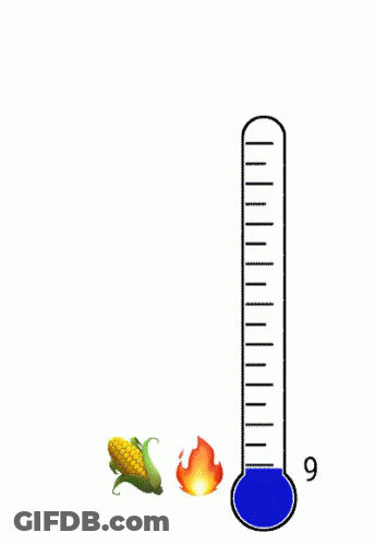 Thermometer Displaying Over 100 Degrees GIF