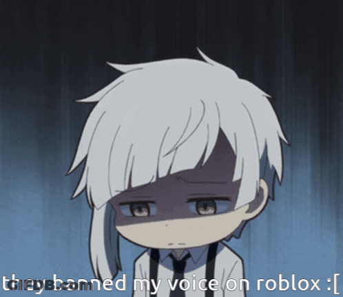 They Banned My Voice On Roblox GIF