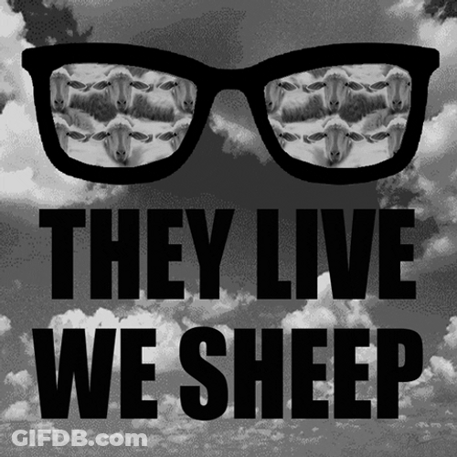 They Live We Sheep GIF