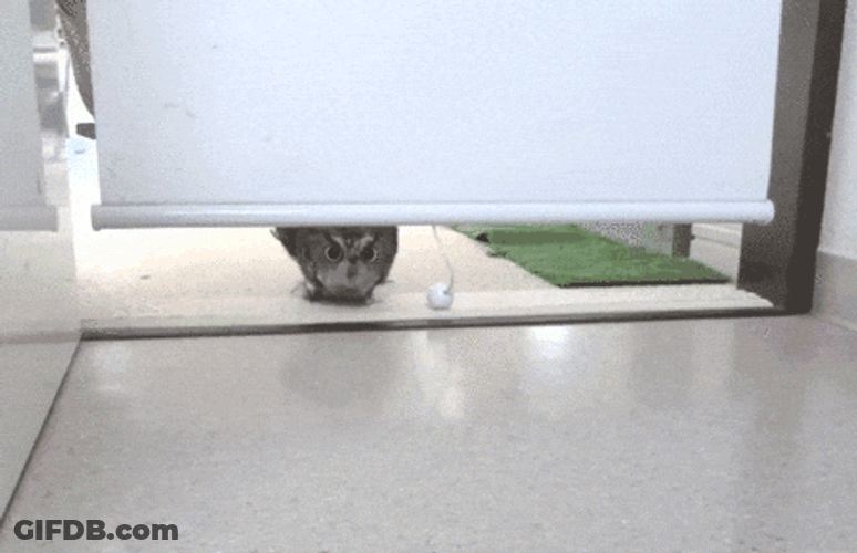 They Missed Did I Miss It GIF
