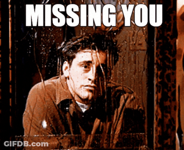 They Missed Missing You GIF