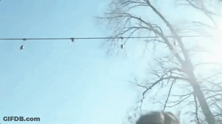 They Missed Pool Backflip GIF