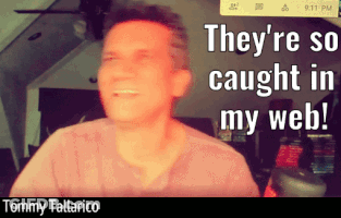They're So Caught In My Web With Tommy Tallarico GIF