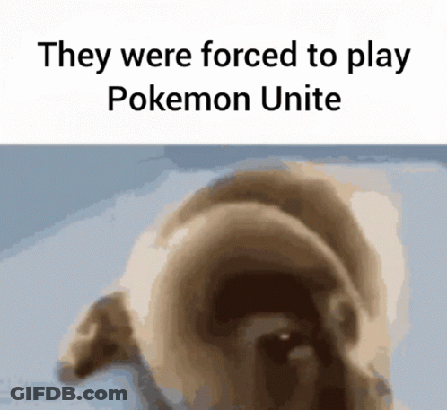 They Were Forced To Play Pokemon Unite With A Picture Of A Dog GIF