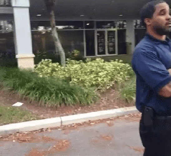 Thief Burglar Sneak Tip Toe GIF