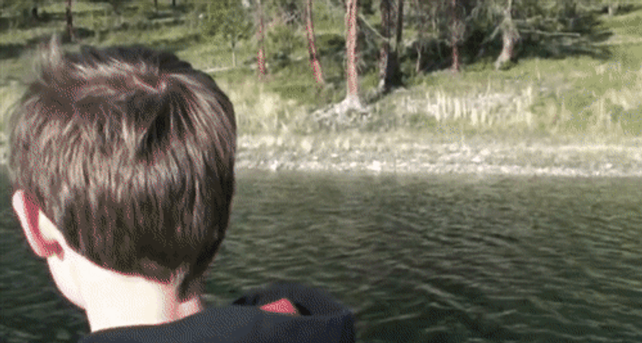 Thief Funny Eagle Fishing GIF