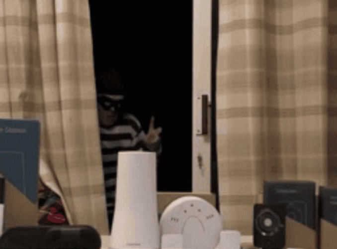 Thief Larry Bundy Youtuber GIF