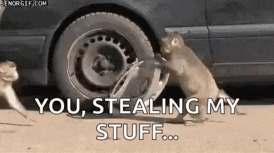 Thief Monkey Stealing Tires GIF