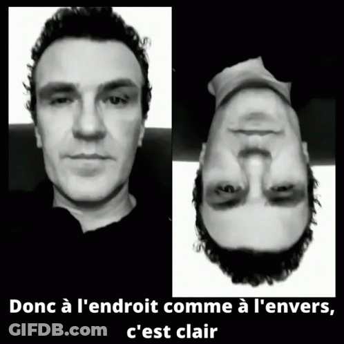 Thierry Stein Acteur Actor Comédien Cinéma GIF