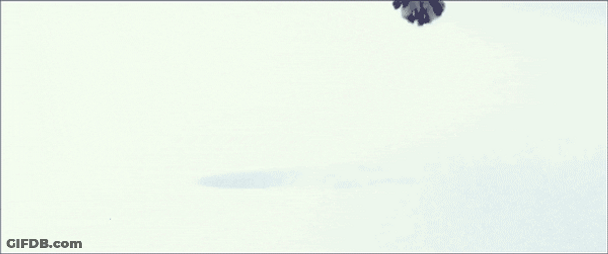 Things That Bounce Cat On Snow GIF