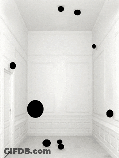 Things That Bounce In White Close Room GIF