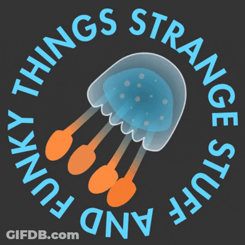 Things That Bounce Jellyfish GIF