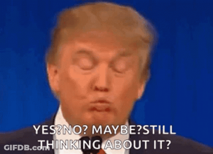 Think About It Donald Trump GIF