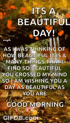 Thinking About Beautiful Day GIF