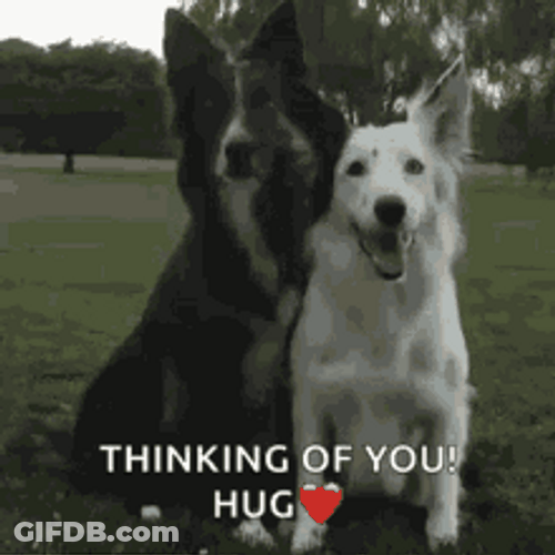 Thinking About You Dogs Tight Hug GIF