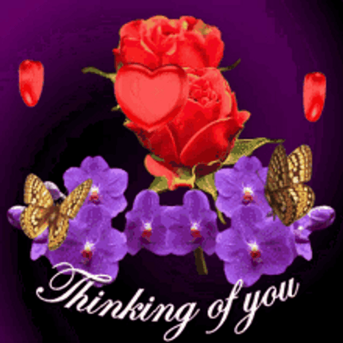 Thinking About You Flowers And Butterflies GIF