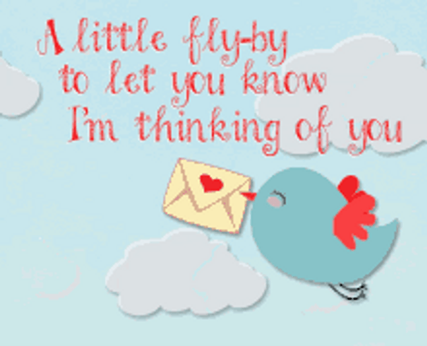 Thinking About You Flying Bird Carrying Message GIF