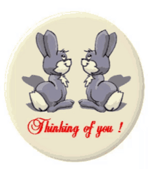 Thinking About You Kissing Bunnies Animation GIF