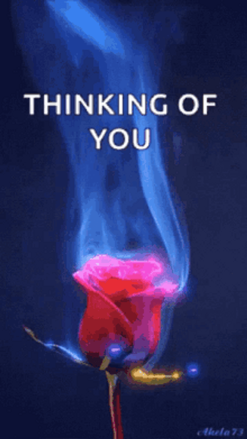 Thinking About You Rose With Blue Smoke GIF
