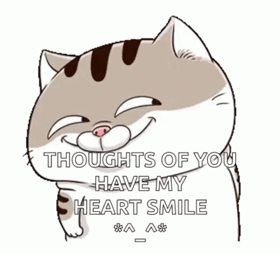 Thinking Of You Ami Fat Cat GIF