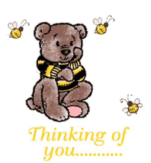 Thinking Of You Bees And Bear GIF