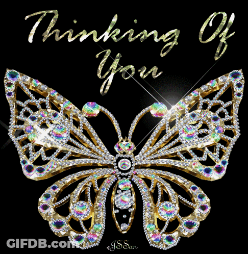 Thinking Of You Butterfly GIF