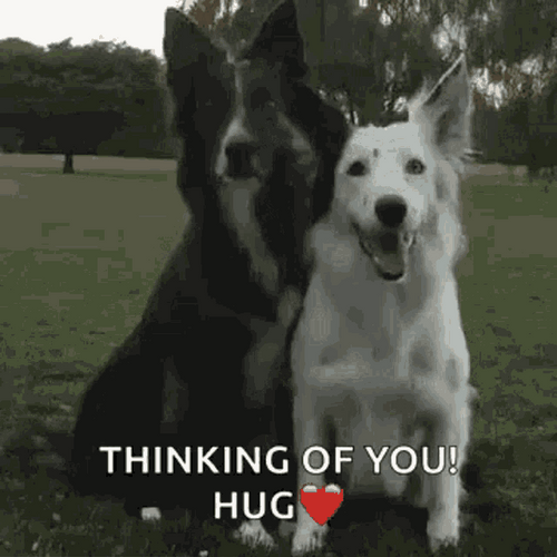 Thinking Of You Dog Hug GIF