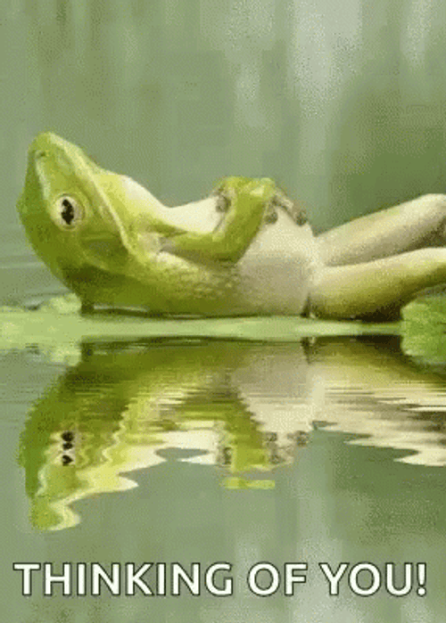 Thinking Of You Frog GIF