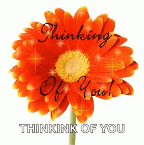 Thinking Of You Marigold GIF