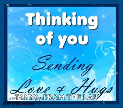Thinking Of You Sending Love And Hugs Card GIF