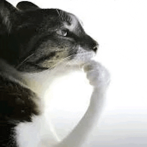 Thinking Pondering Meme GIF