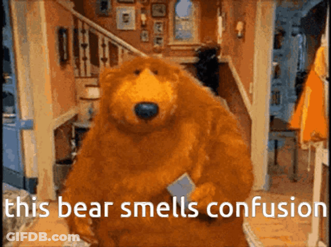 This Bear Smells Confusion GIF