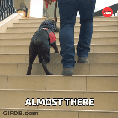 This Close Almost There Pup GIF