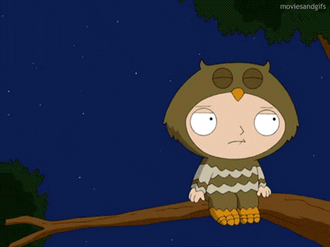 This Guy Stinks Says Owl On Stewie GIF