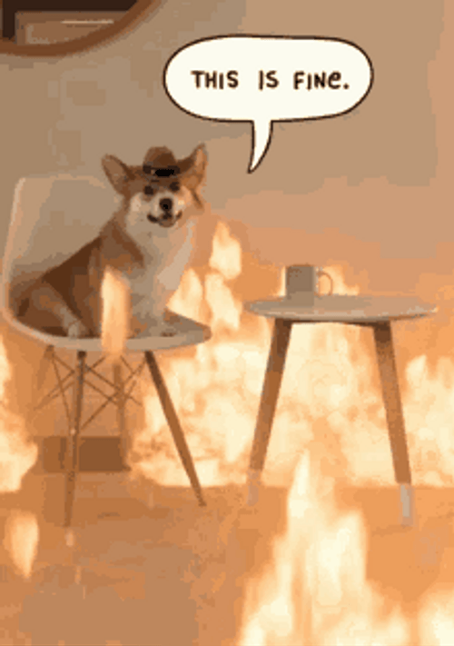 This Is Fine Corgi GIF
