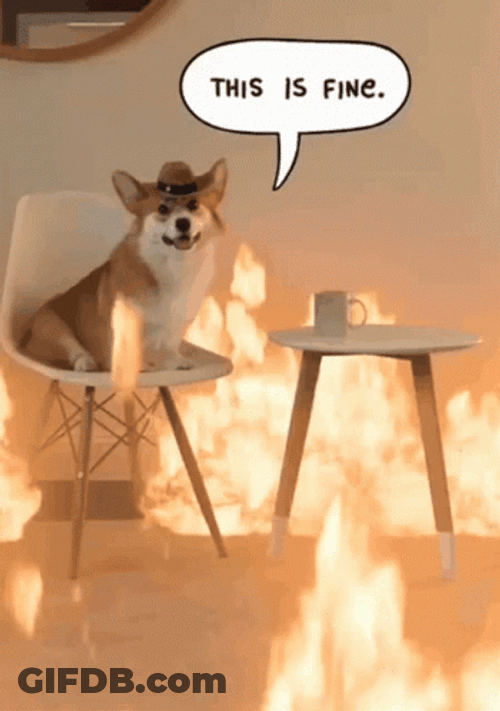 This Is Fine Meme Corgi Cowboy Hat Burning GIF