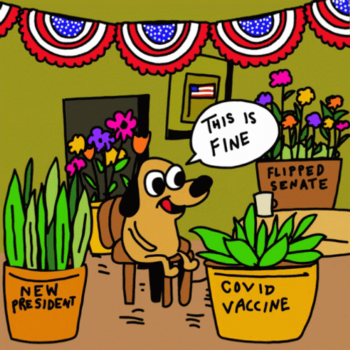 This Is Fine Meme USA Political Situation GIF