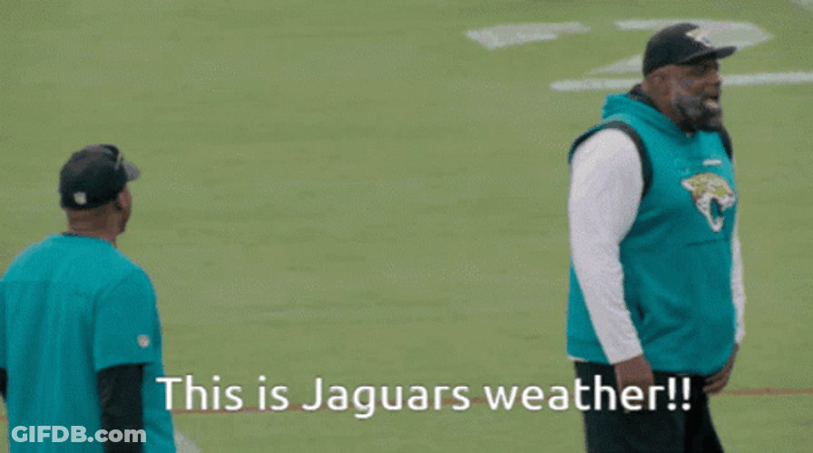 This Is Jaguars Weather GIF