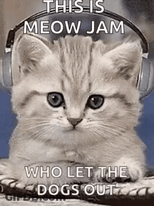 This Is Meow Jam Who Let The Dogs Out Cute GIF