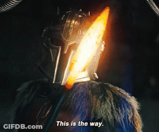 This Is The Way GIF