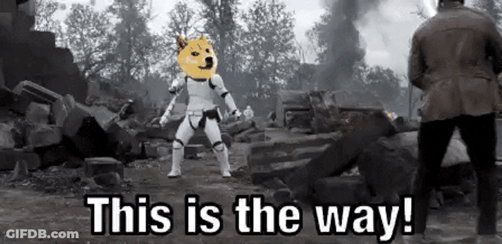 This Is The Way Dog Peep Versus Coin GIF