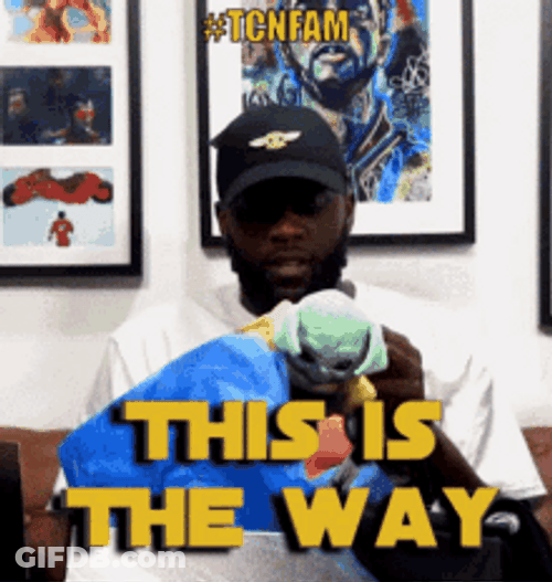 This Is The Way Guy Playing With Yoda Toy GIF