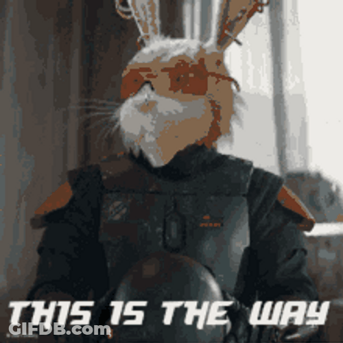 This Is The Way Rabbit Wearing Helmet GIF