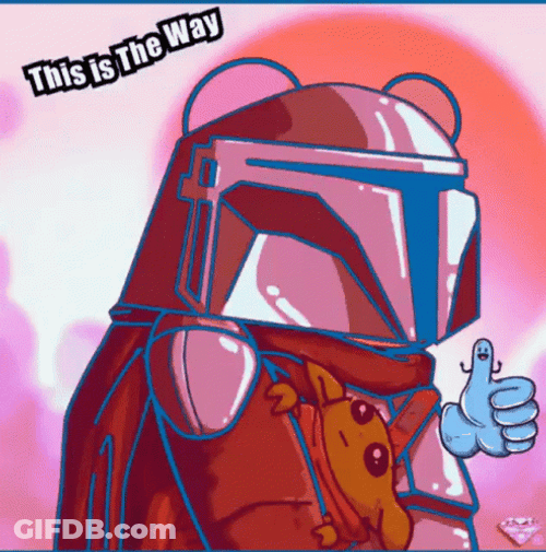 This Is The Way Thumbs Up GIF
