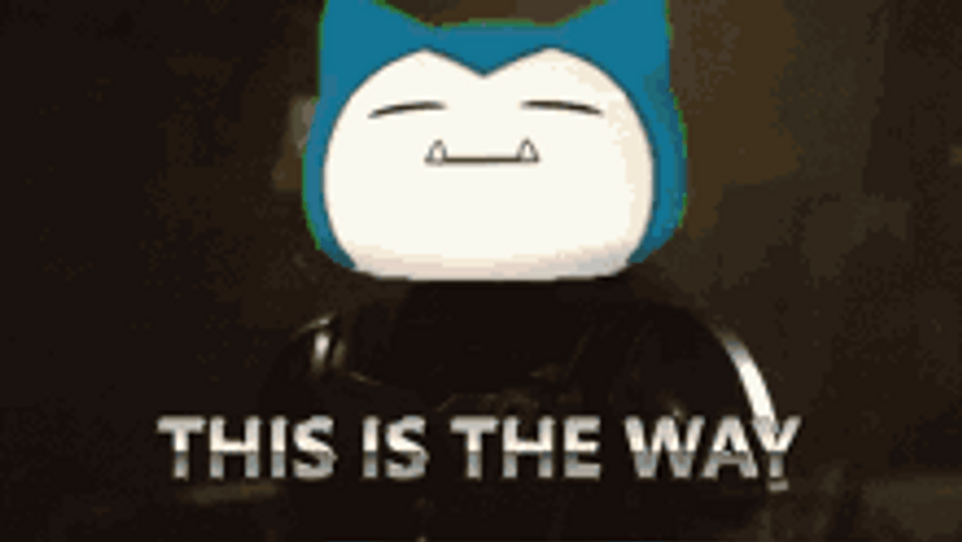 This Is The Way Weird Cat GIF